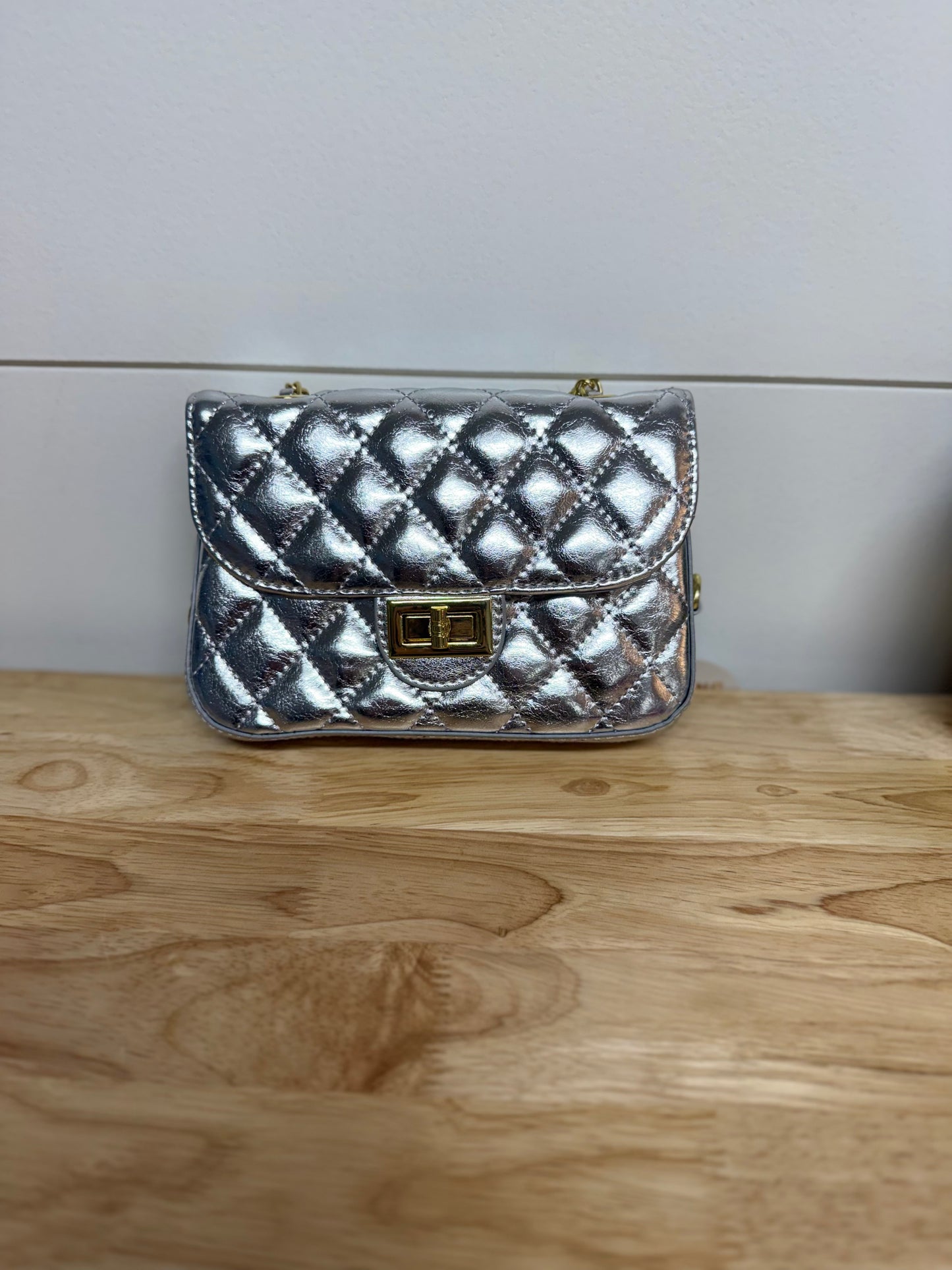 Carrying Kind Esther Purse-Silver