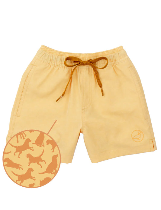 Properly Tied Boys Splash Swim Dogs